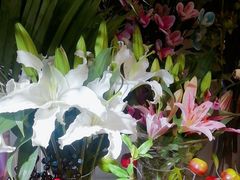 -BHG生活超市(安贞店)