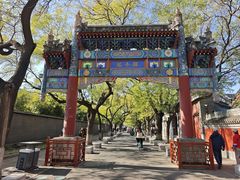 -北京国子监胡同