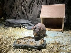 -顺德南宏海立方海洋公园