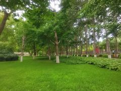 -康庄公园