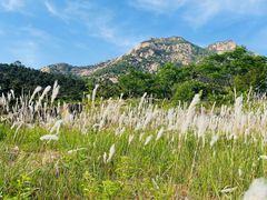 -泰山风景名胜区