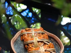 -蟹村草堂·苏式园林人文农家·大闸蟹