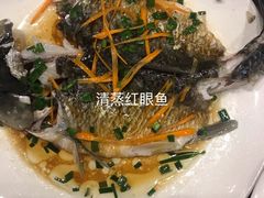 -悠悠美食