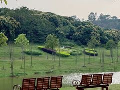 -东莞植物园