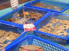 -云天楼国鼎喜宴中心(国鼎店)