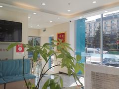 -德元·美联众合24小时动物医院(总院)