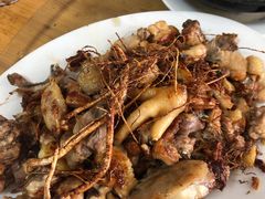 五指毛桃焗鸡-好地方农庄