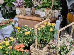 -循礼门鲜花花市(武汉循礼门店)