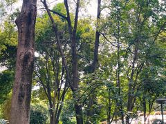 -成都市活水公园