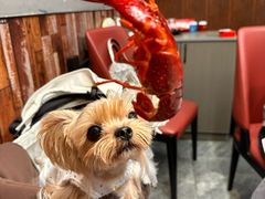 -指爱龙虾(金杨路总店)