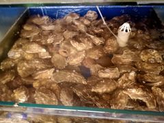 -雅逸居海鲜小厨