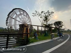 -王借岗森林公园