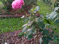 -人民公园(罗湖区)