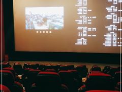 -农垦博纳国际影城(津奥广场IMAX店)