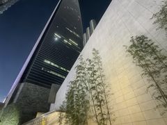 -上海柏悦酒店