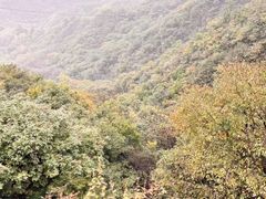 -妙峰山风景名胜区