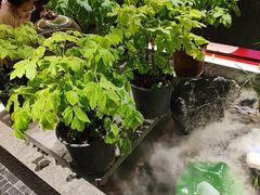 -杏花村水席楼·洛阳水席(老城十字街店)