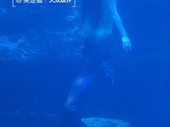 -太平洋海底世界