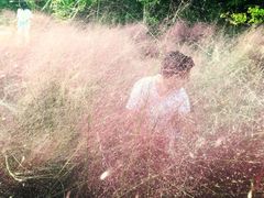 -宁波浙东大竹海景区