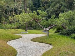 -云溪植物园