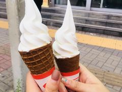 -富豪雪糕车流动点(尖沙咀店)