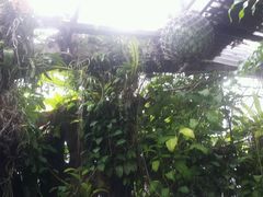 android_upload_pic-自然餐厅(Phuket)