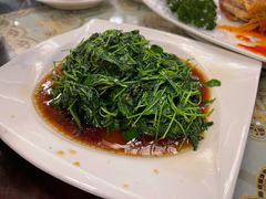 金花菜酒香-新聚丰菜馆(太监弄店)