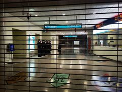 -龙阳路磁悬浮列车总站-停车场