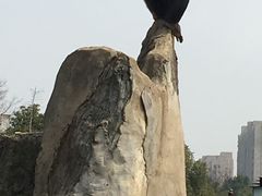 -南昌动物园