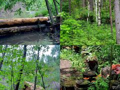 -峡谷浮石林景区