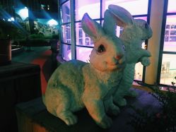 -梦田都市农场(银泰城店)