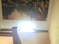 -金山农民画村-枫泾波兰倒置屋