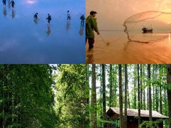 -黄海国家森林公园