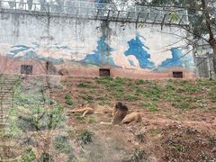 -乐和乐都主题乐园