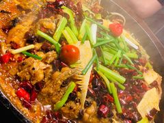 老板恋上鱼-老板恋上鱼(高新万达店)
