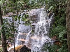 -墨尔本皇家植物园