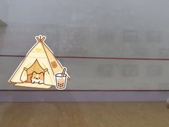 -全民健身中心壁球馆
