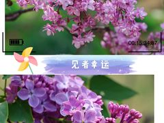 -国家植物园