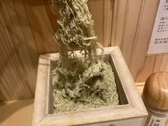 餐具摆设-面屋 猪一