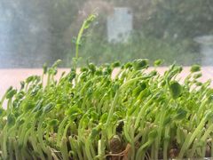 -海底捞火锅(龙湖北京大兴天街店)