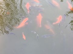 -河北村民俗体验园