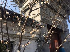 -尚贤河湿地