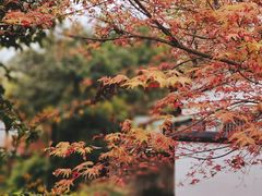 -北山街历史文化街区