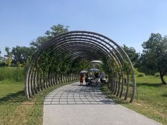 -良渚古城遗址公园