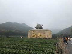 -龙坞茶村