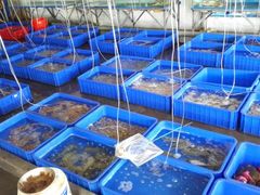 -幸福姐海鲜大排档