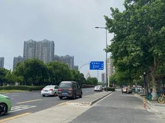 -金陵花卉交易市场