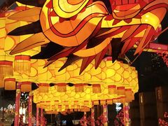 -重庆市江北嘴中央商务区中央公园