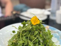 -悦真雅院·四合院·清真私房菜(雍和宫店)