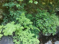 -白云源风景区
